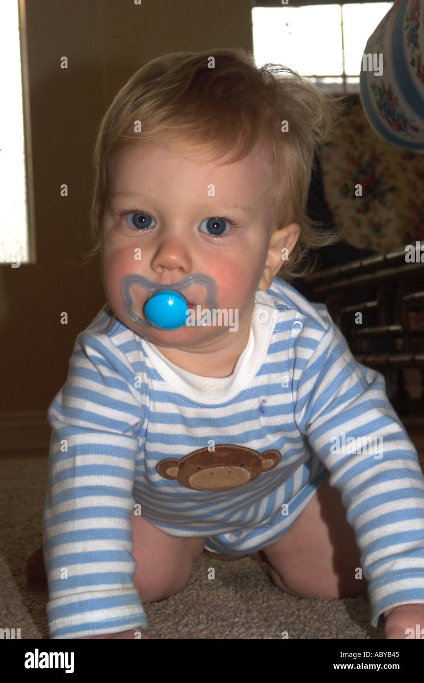 baby with pacifier Stock Photo Alamy