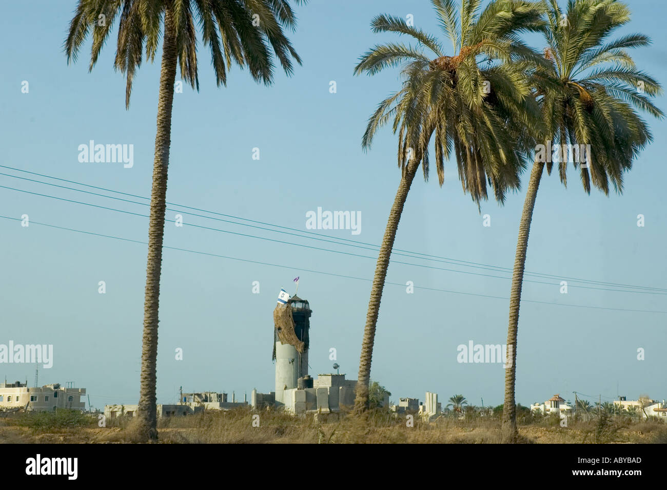 Isarel Gaza strip Gush Katif settlements Kfar Darom palm trees and army mirador aimed at controling the access rod to the settlement Stock Photo