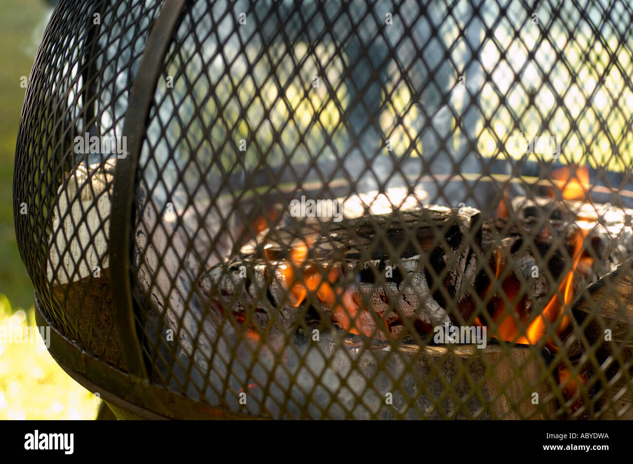 Chimney with burning logs Stock Photo Alamy
