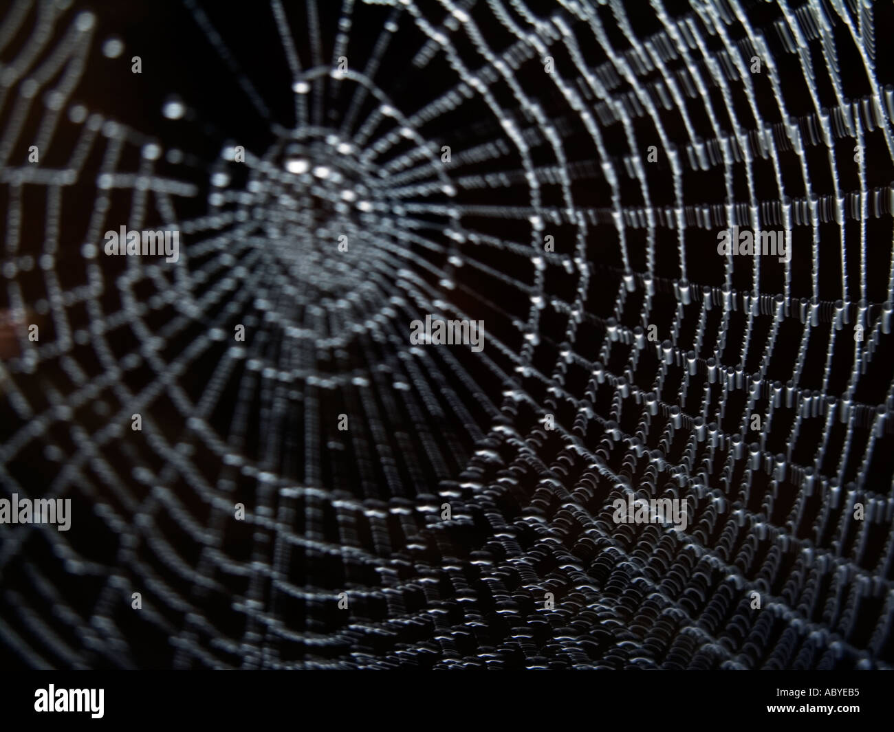 SPIDERS WEB WITH CENTRE BLURRED Stock Photo