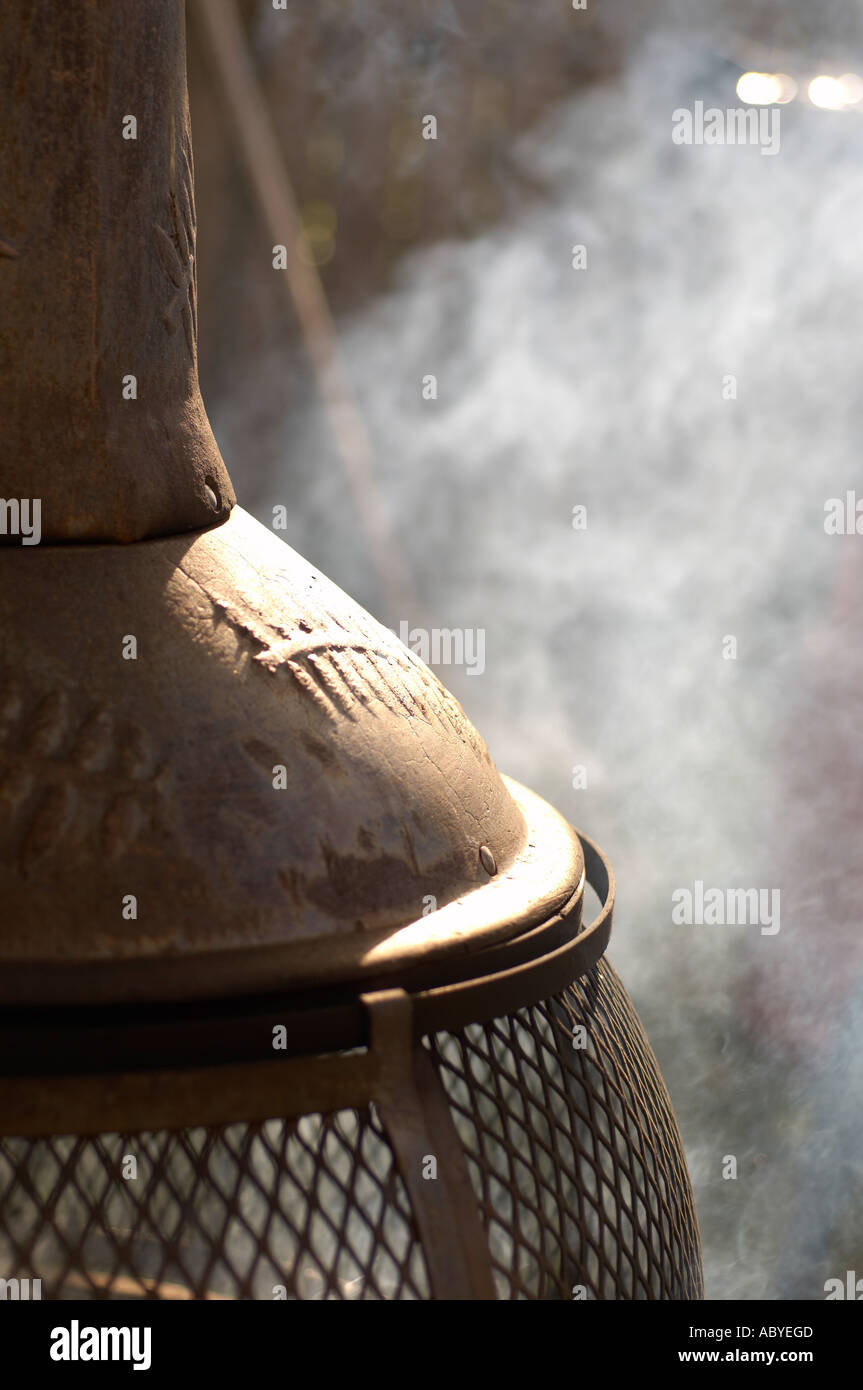 Chimney with burning logs Stock Photo Alamy