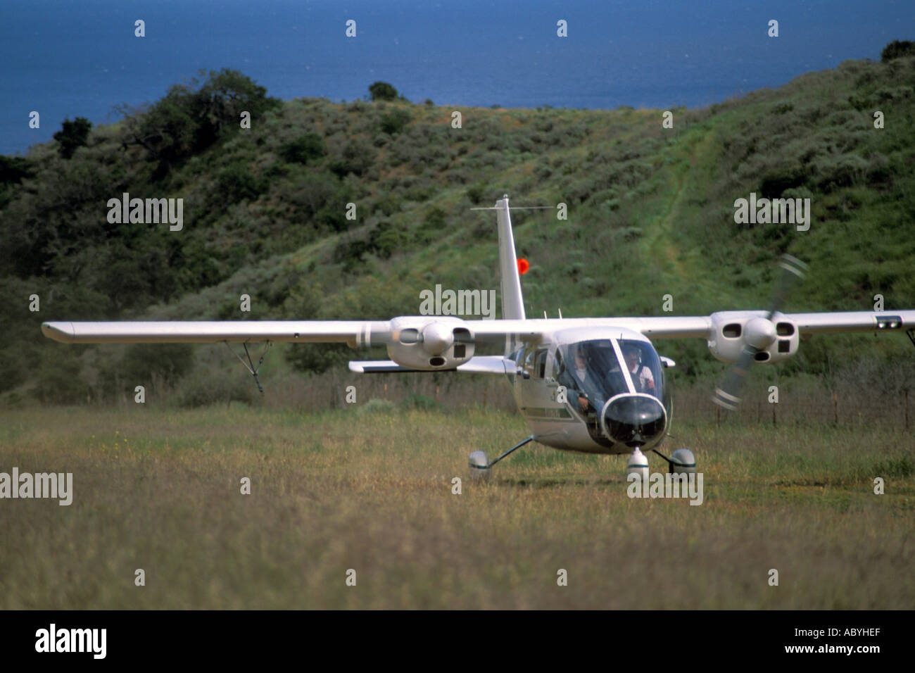Landing strip porn Landing strip porn