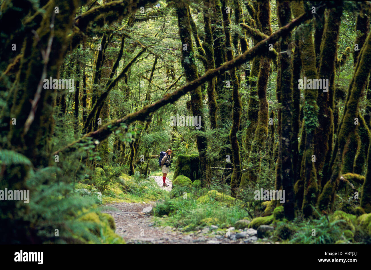 Milford Track, Fiordland National Park, South Island, New Zealand, horizontal Stock Photo