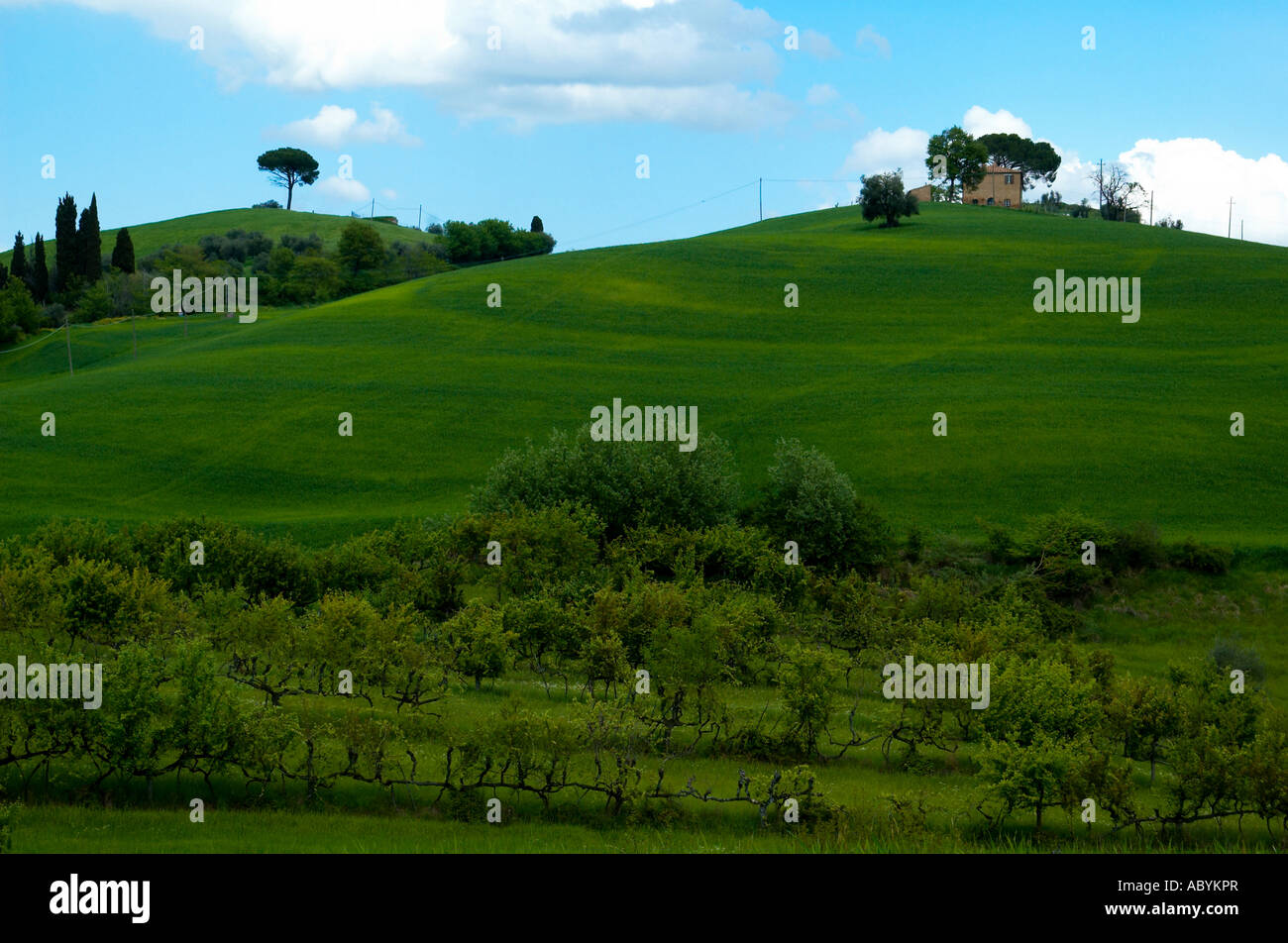 Farm house in the Tuscany region of Italy Stock Photo - Alamy