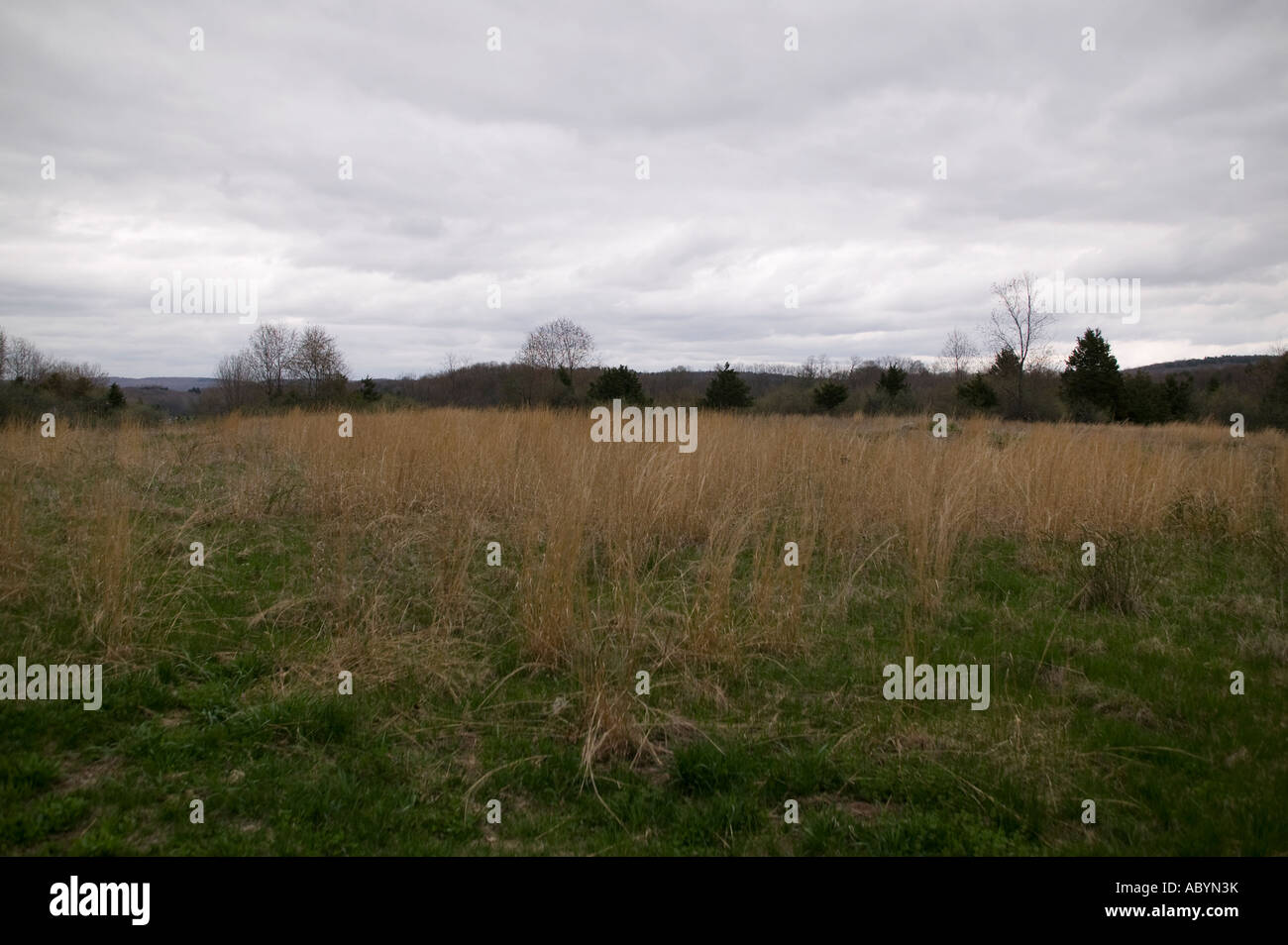 Dry grass field hi-res stock photography and images - Alamy