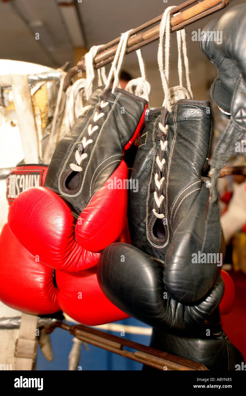 gloves boxing gloves hanging boxing ring ring mitts red black tied