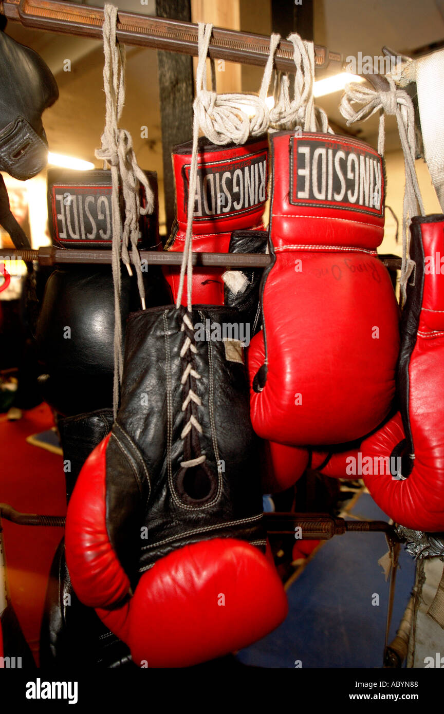 gloves boxing gloves hanging boxing ring ring mitts red black tied