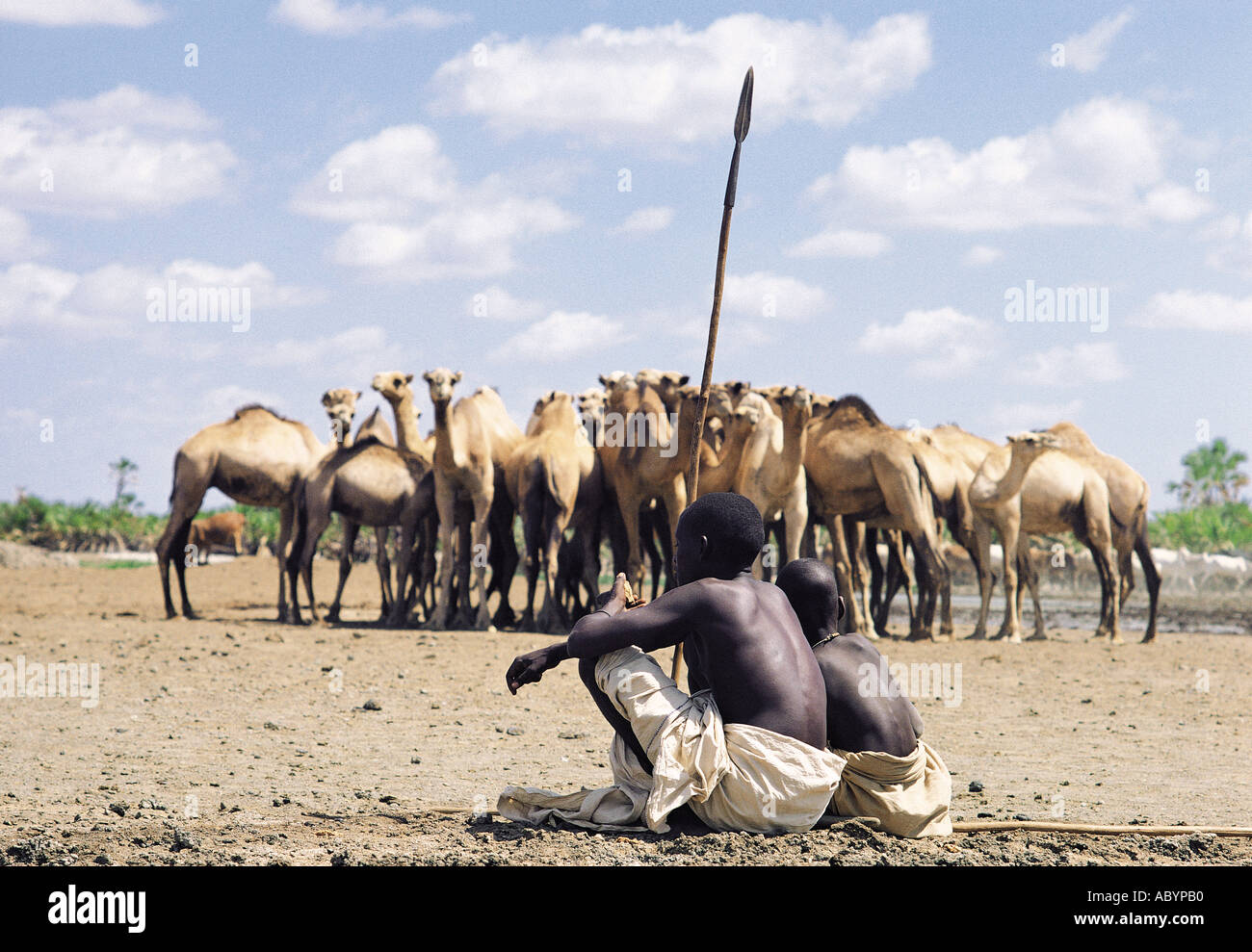 Gabbra youths watch over camels drinking a Kalacha waterhole Chalbi Desert northern Kenya East Africa Stock Photo