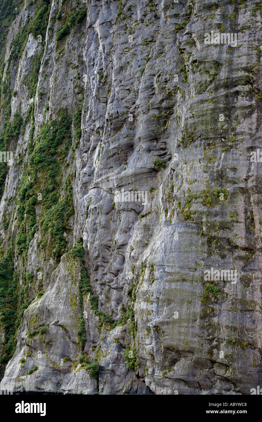 Milford sound striations on rock face Stock Photo