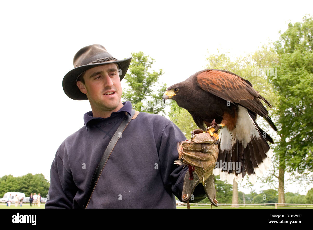 England Oxfordshire Woodstock Blenheim Palace Pleasure Gardens Alastair Greenyer with Harris Hawk in his fist Stock Photo