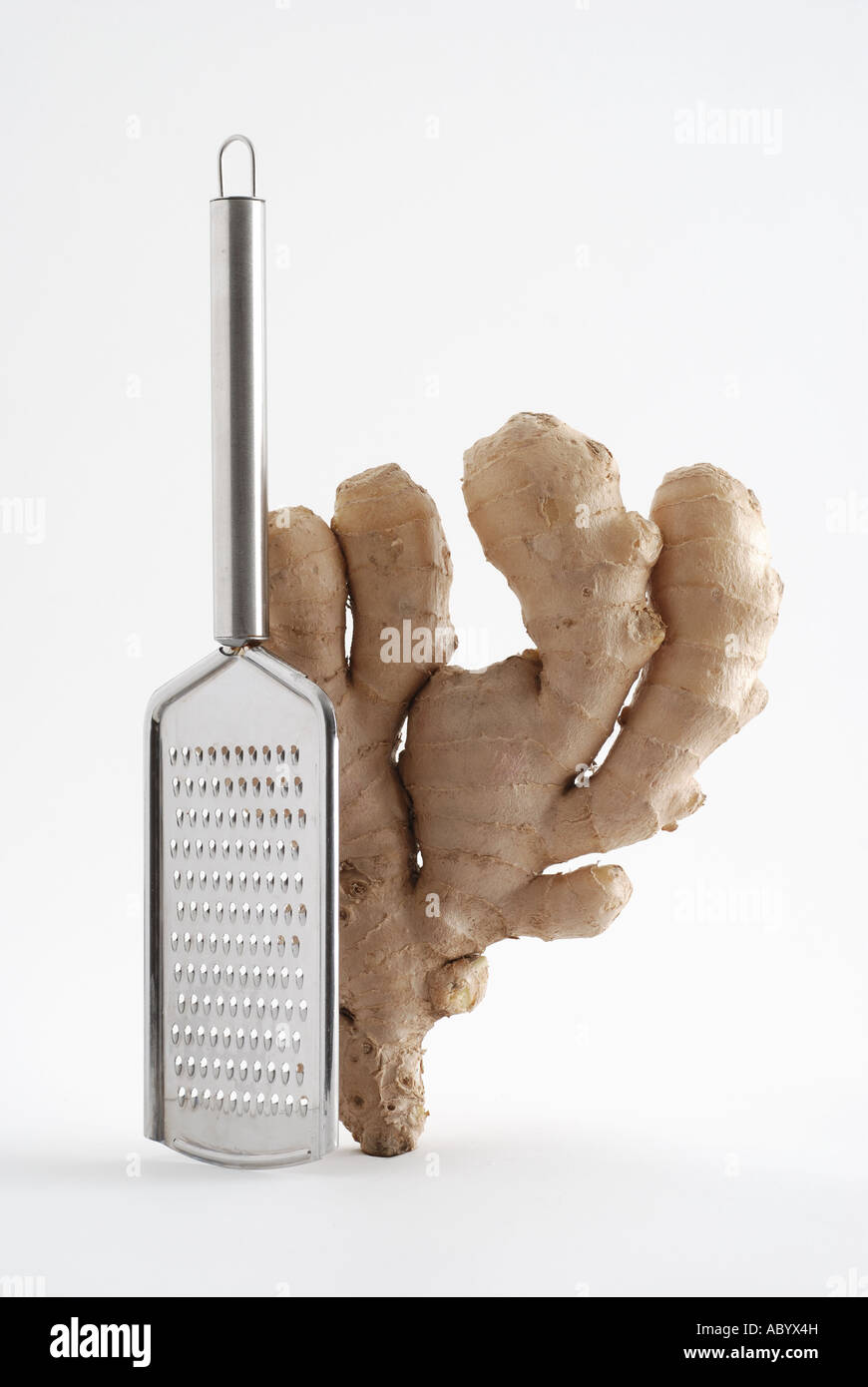 FRESH ROOT GINGER ON WHITE BACKGROUND WITH STAINLESS STEEL GINGER