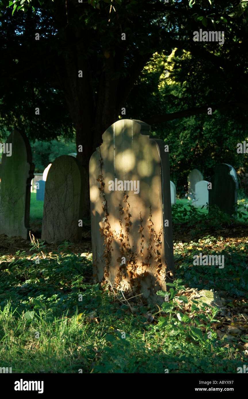Gravestone with dappled light on it in cemetery dead die funeral old