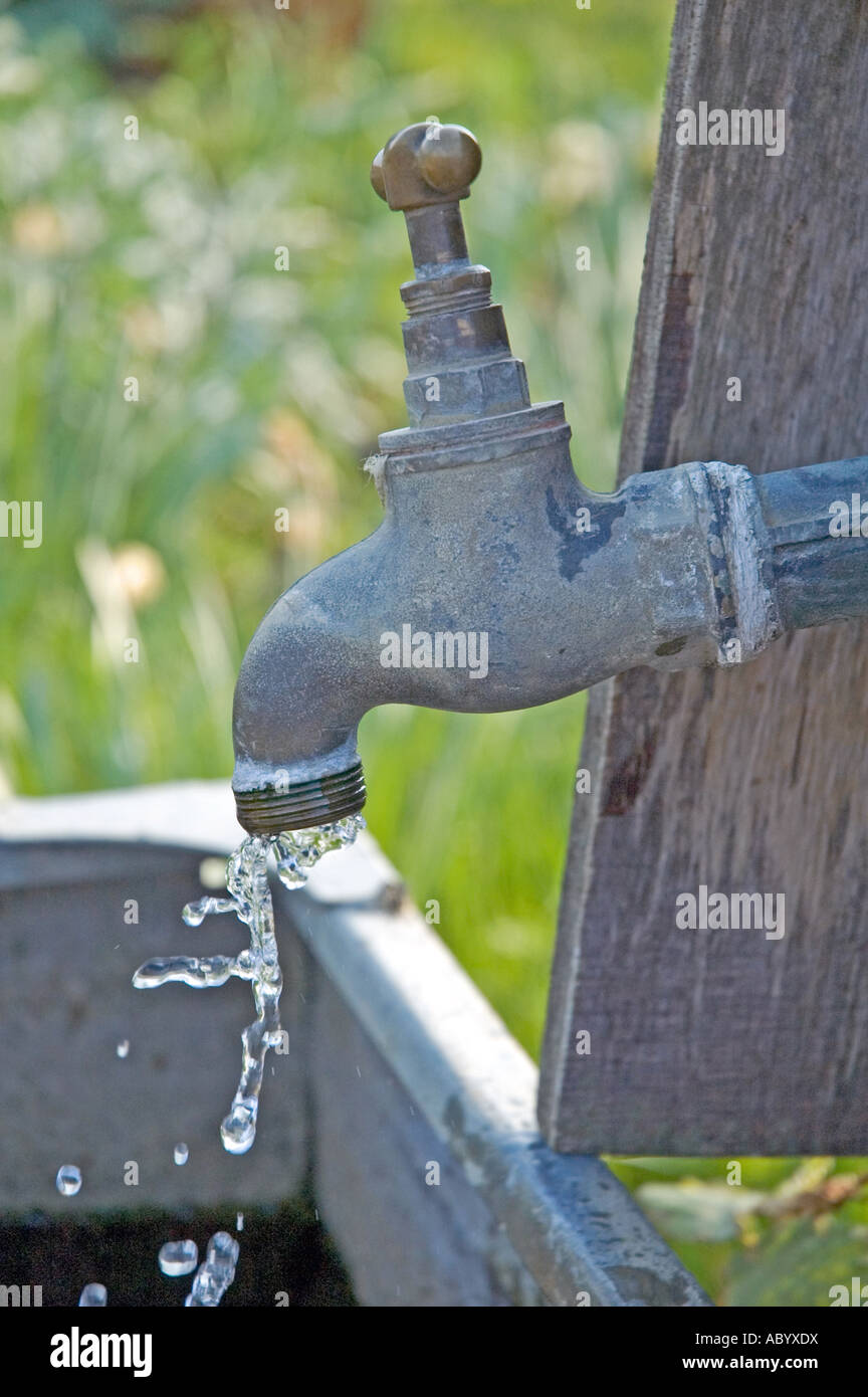 Dripping Tap Allotment London UK Stock Photo Alamy