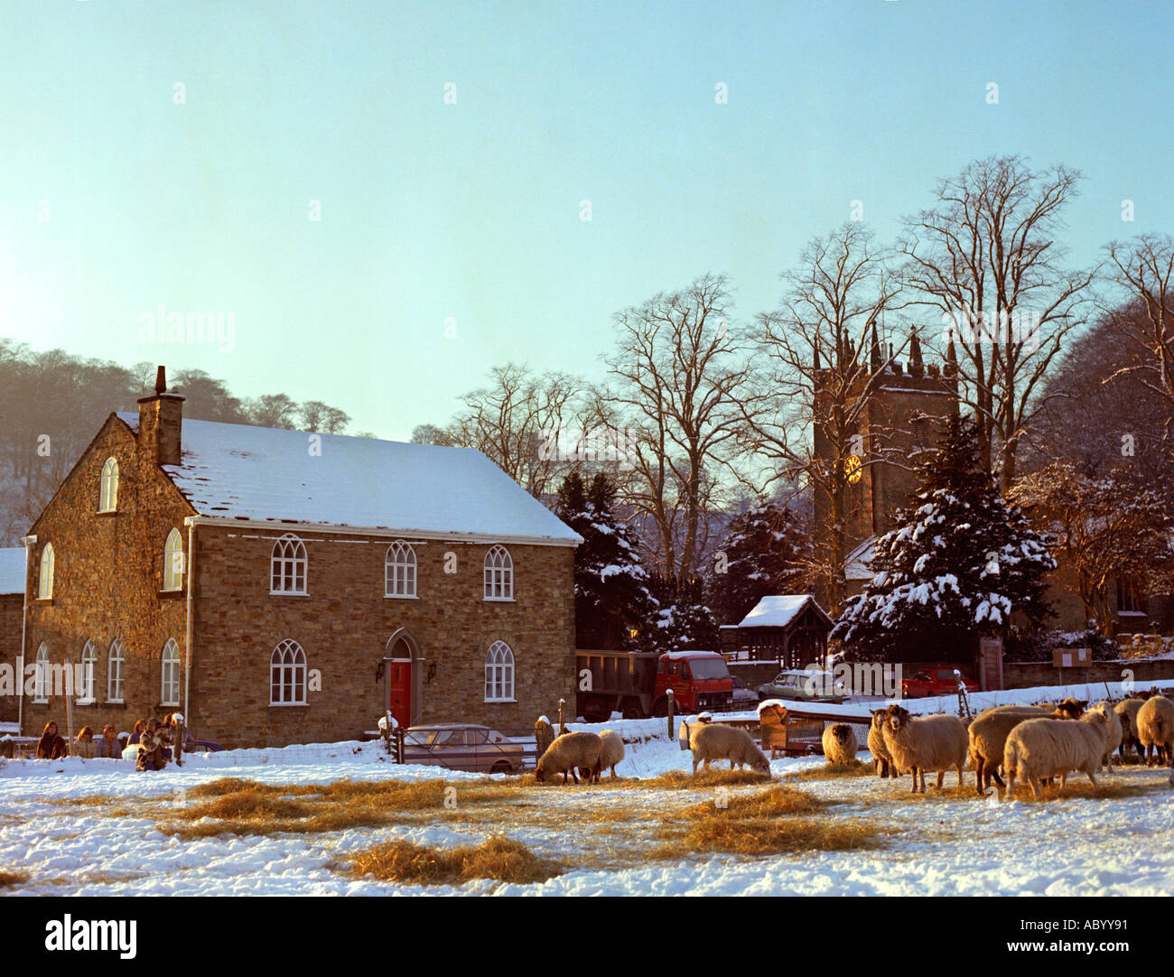 Cheshire Pott Shrigley village in the snow sheep feeding on hay Stock Photo