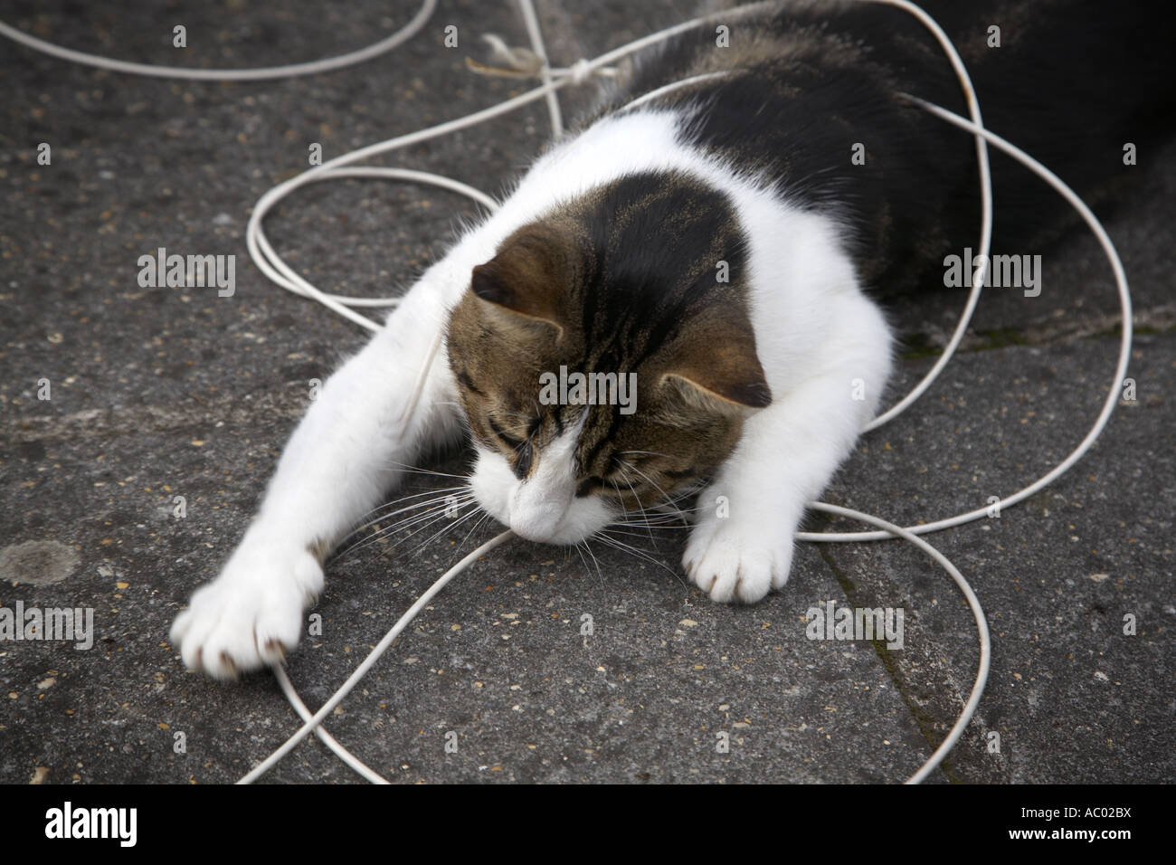 String theory hires stock photography and images Alamy