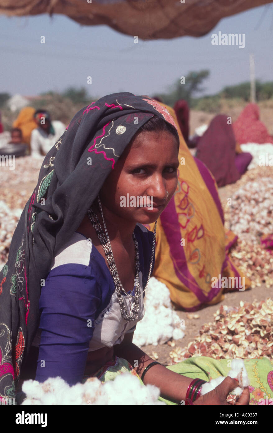 A girl picking cotton by hand, Gujarat Stock Photo