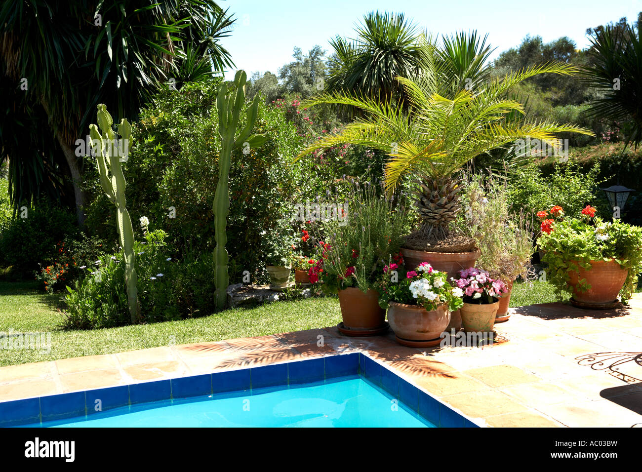 Typical Andalucian Garden View, Marbella, Spain Stock Photo