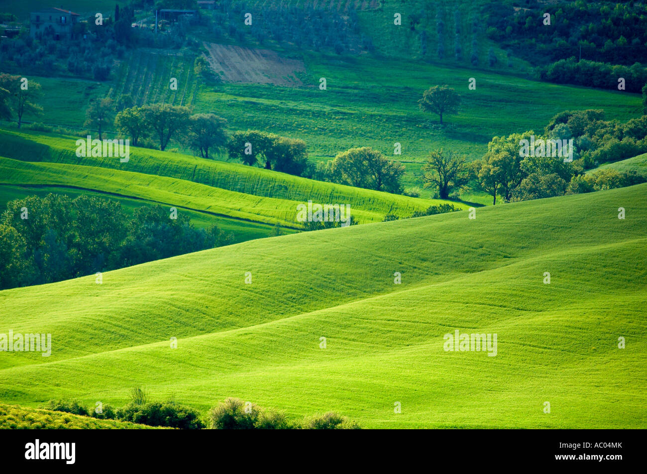 Italy Landscae Rural Rural countryside landscape in Tuscany region of Italy Stock Photo - Alamy