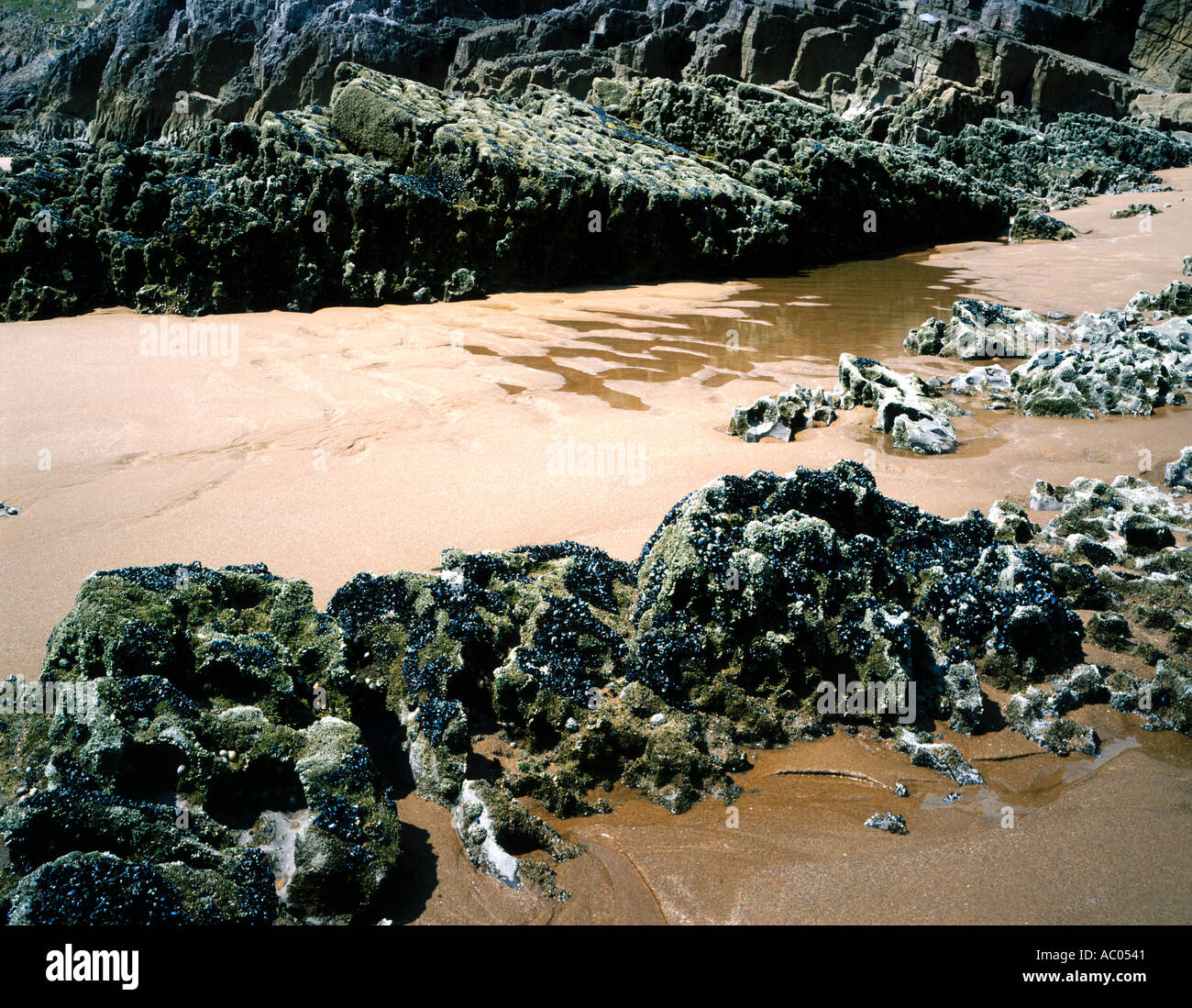 Rock Detail Mewslade Bay Gower S Wales UK Stock Photo