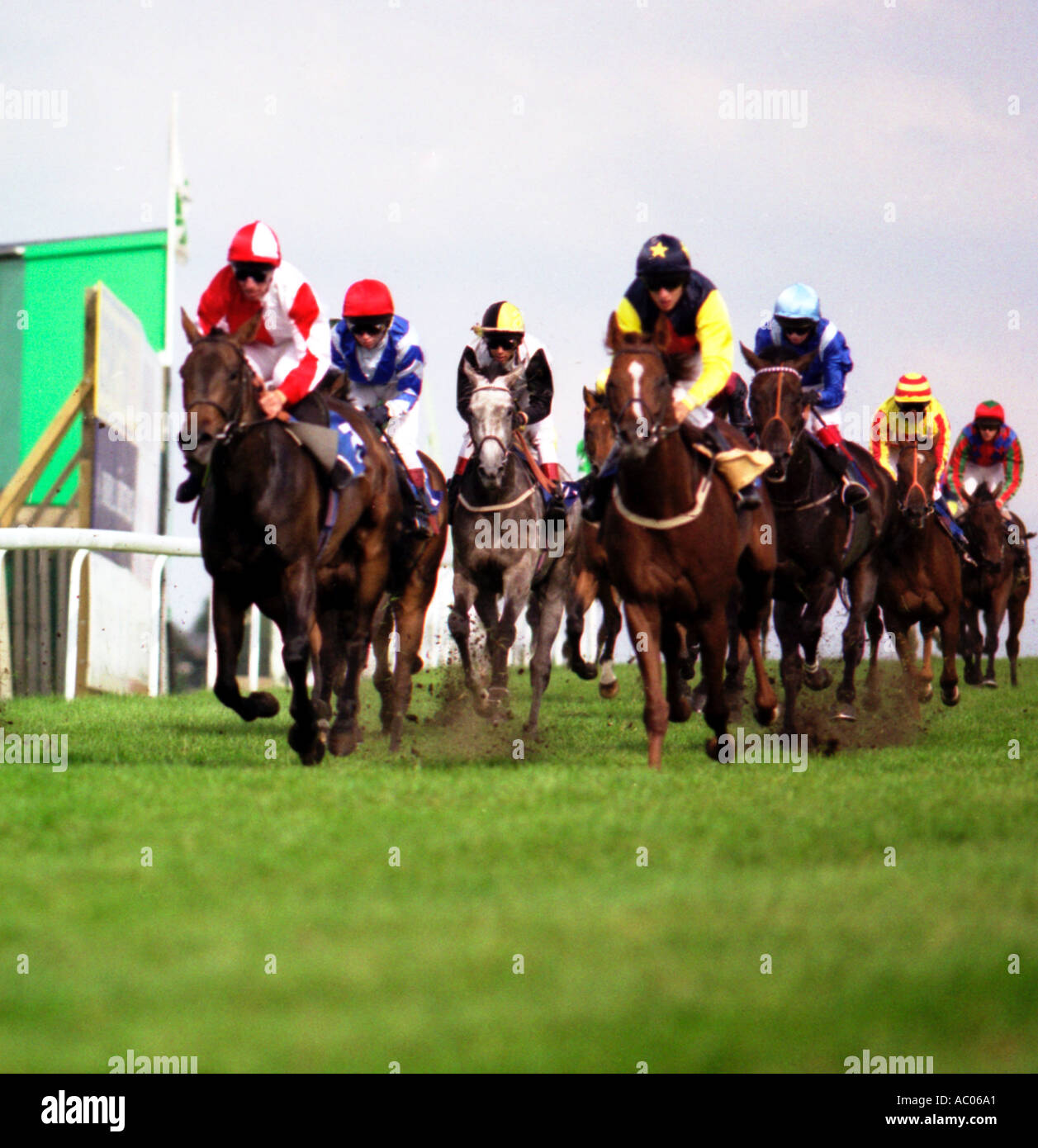 horses racing towards the winning post Stock Photo
