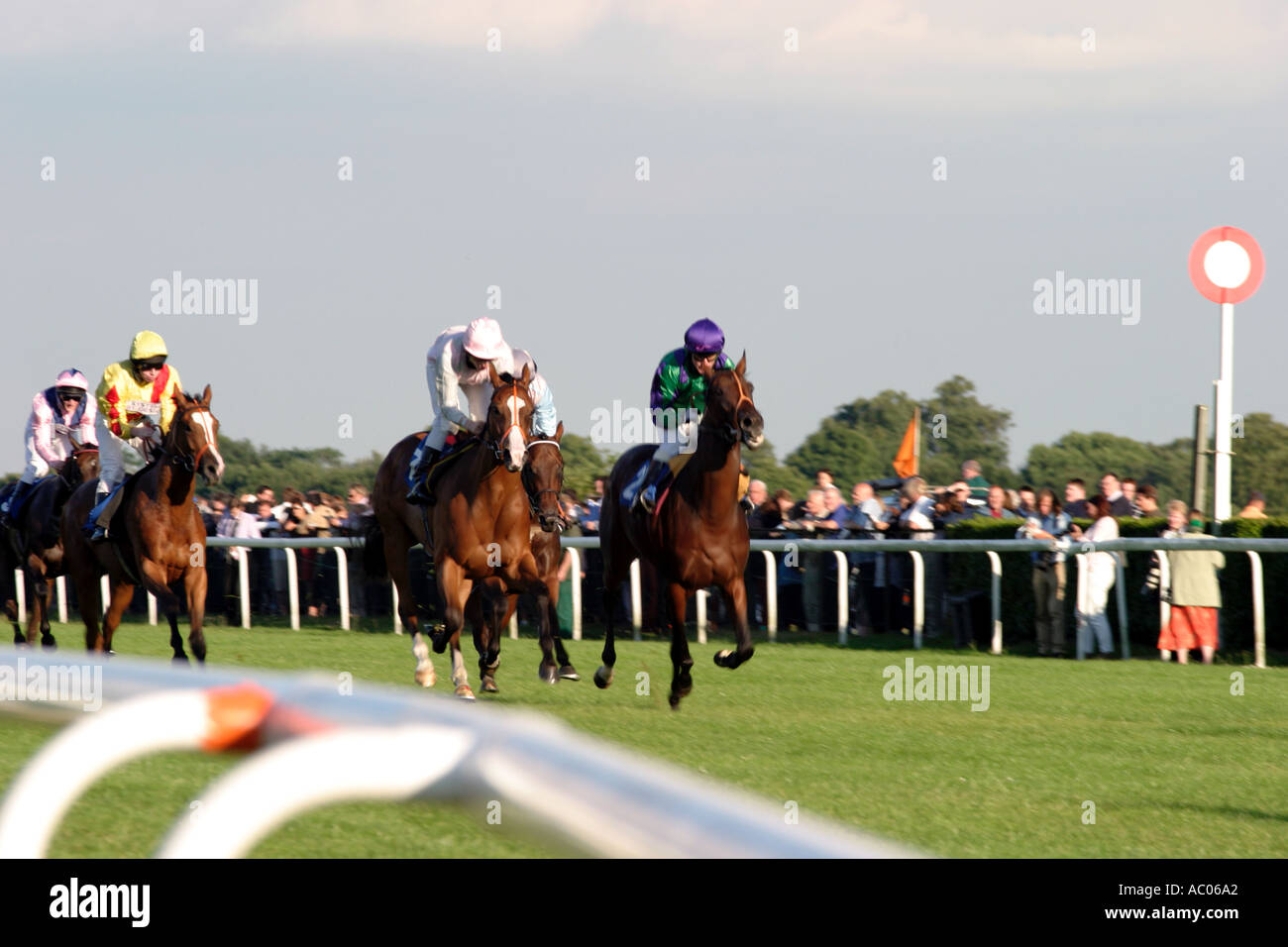 horses racing towards the winning post Stock Photo