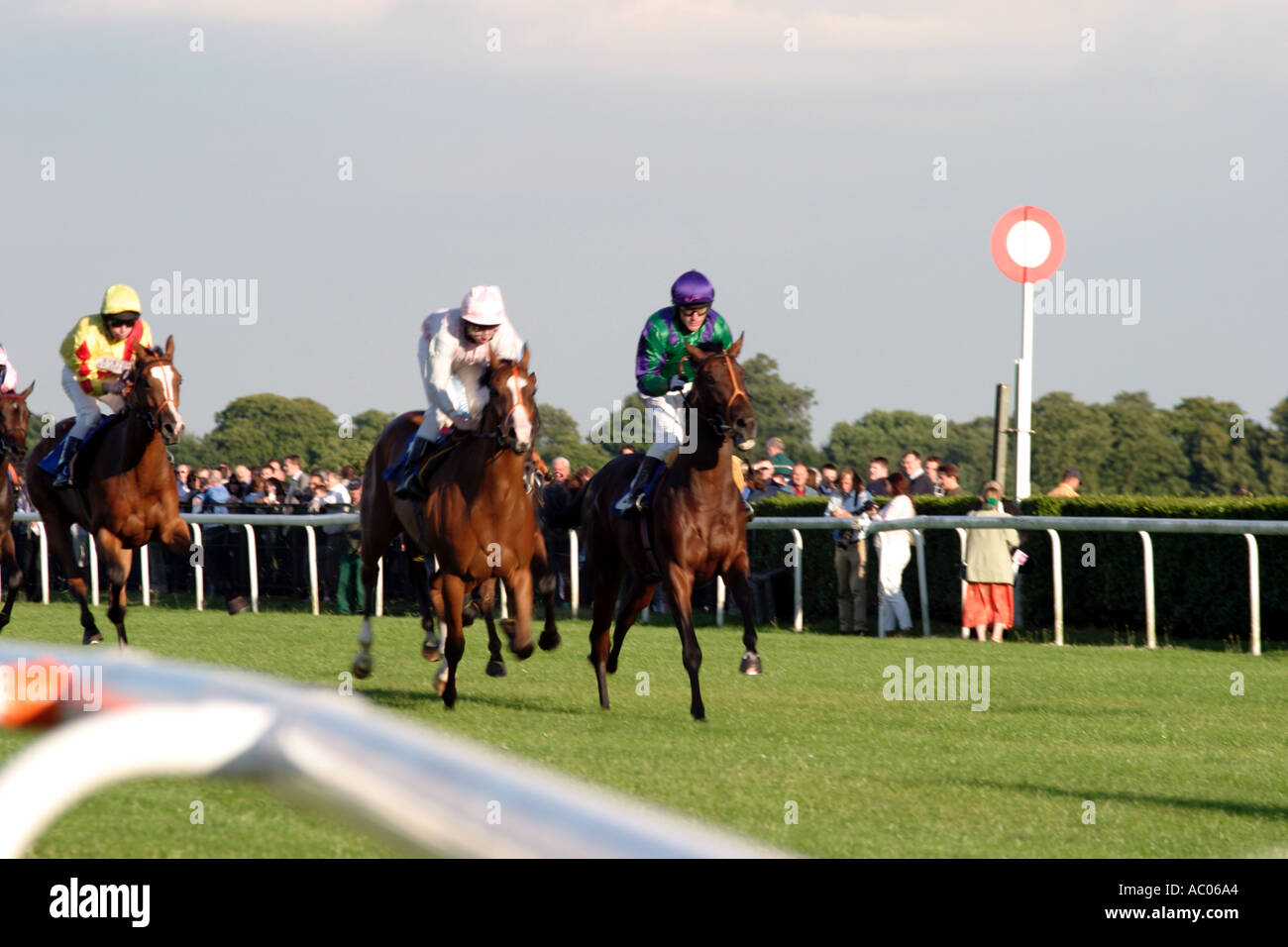 horses racing towards the winning post Stock Photo
