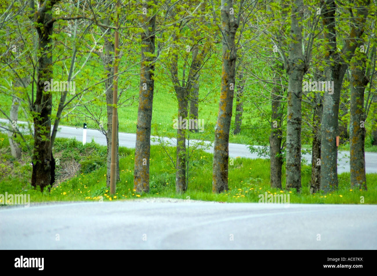 Curving paved road in rural Tuscany Italy Stock Photo