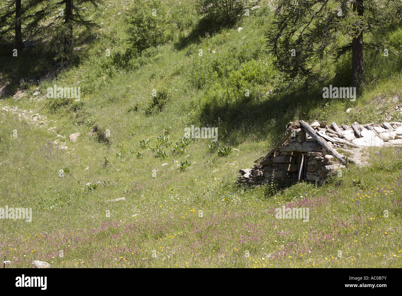 Remains of a field stable in Les Orres, Hautes Alpes, Provence, France Stock Photo