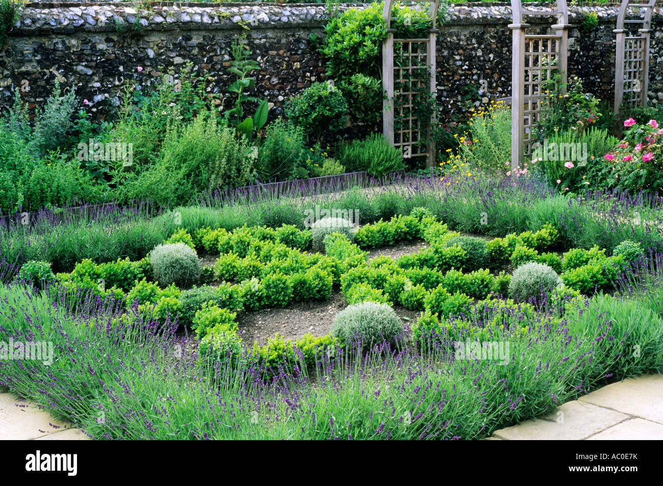 Herb, Knot Garden, Lavender, Box hedges, Trellis, paving, geometric, square design Stock Photo