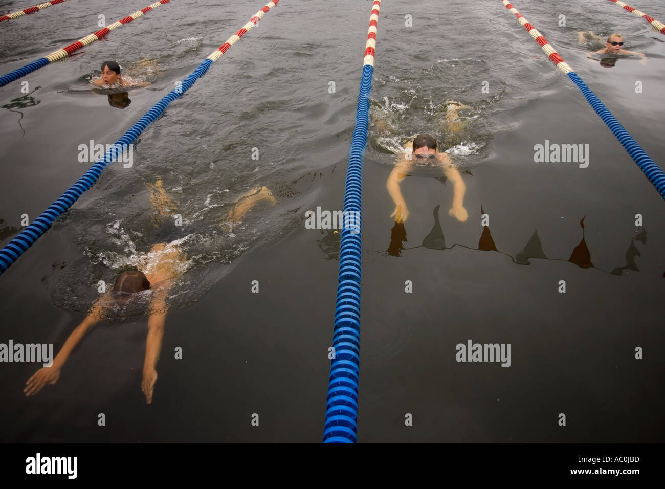 Breaststroke race in lanes hi-res stock photography and images - Alamy
