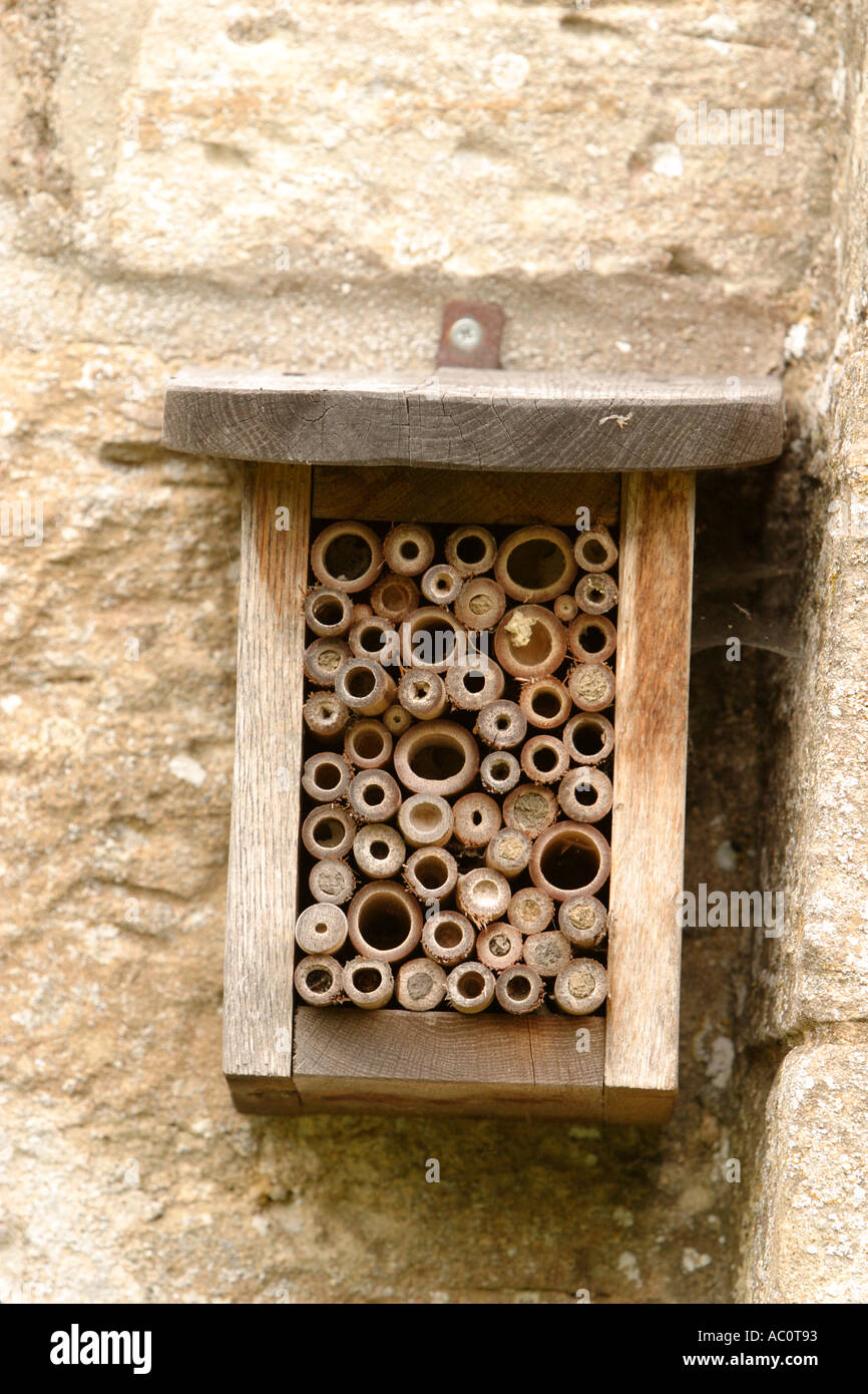 Nesting box for bumble bee hi-res stock photography and images - Alamy
