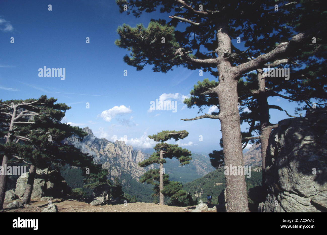 Col de Bavella - Corsica, FRANCE Stock Photo