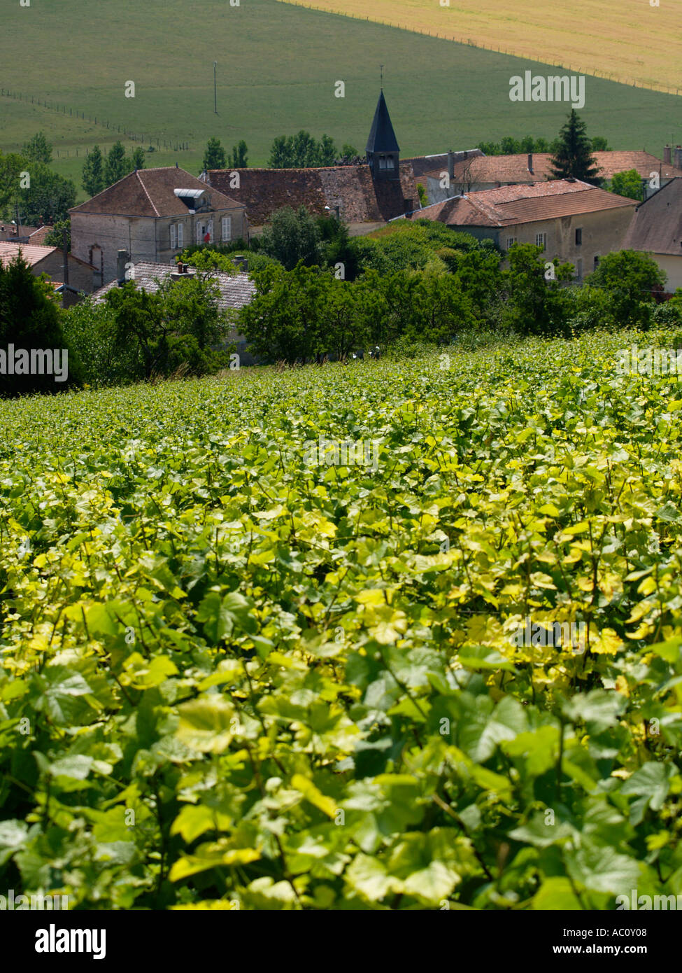 Small village near Bar sur Aube in the Champagne region of France with hills with vineyards grapevines in the foreground Stock Photo