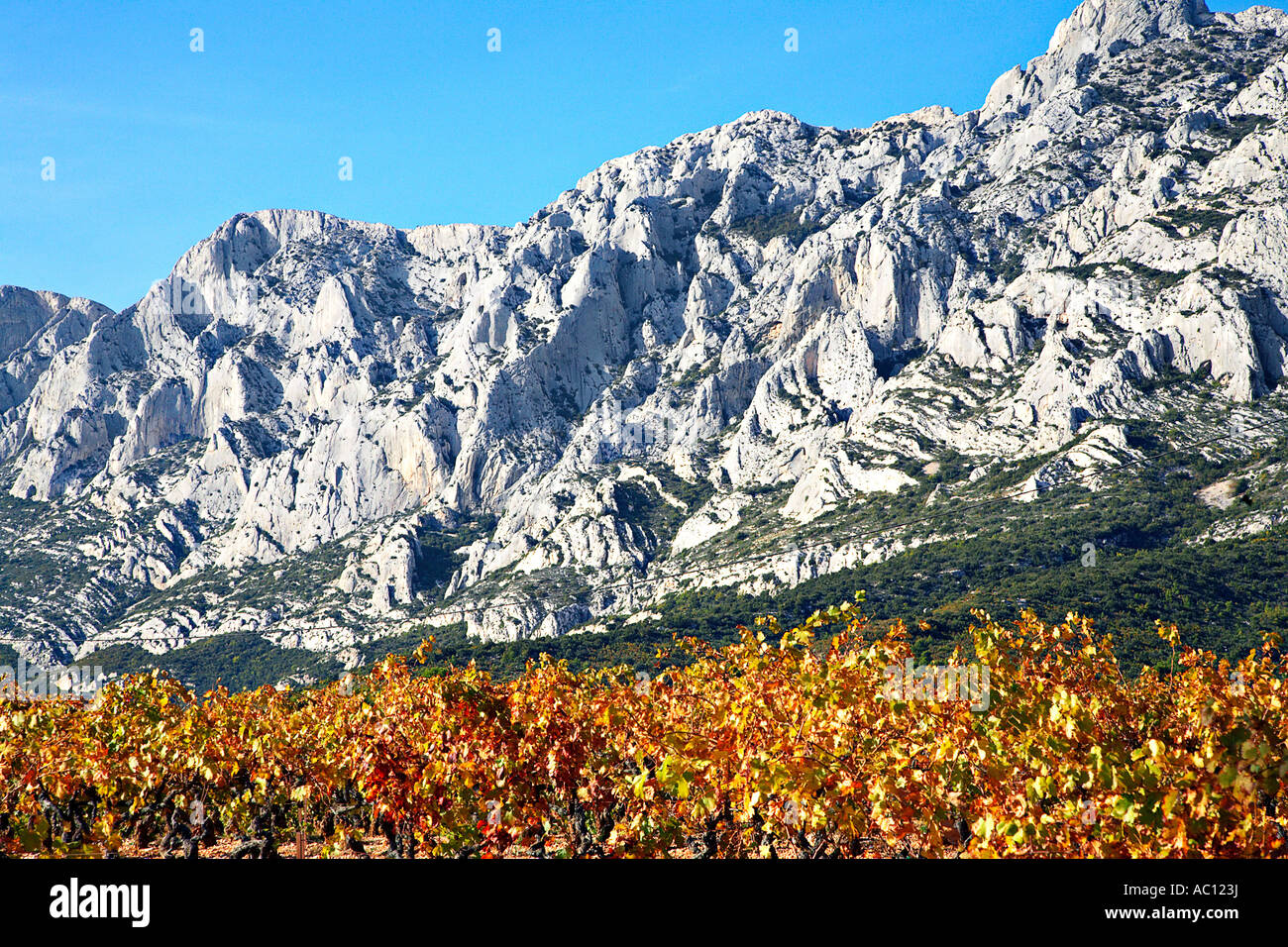 Vineyards aroud the Montagne Sainte Victoire, Provence, France. Stock Photo