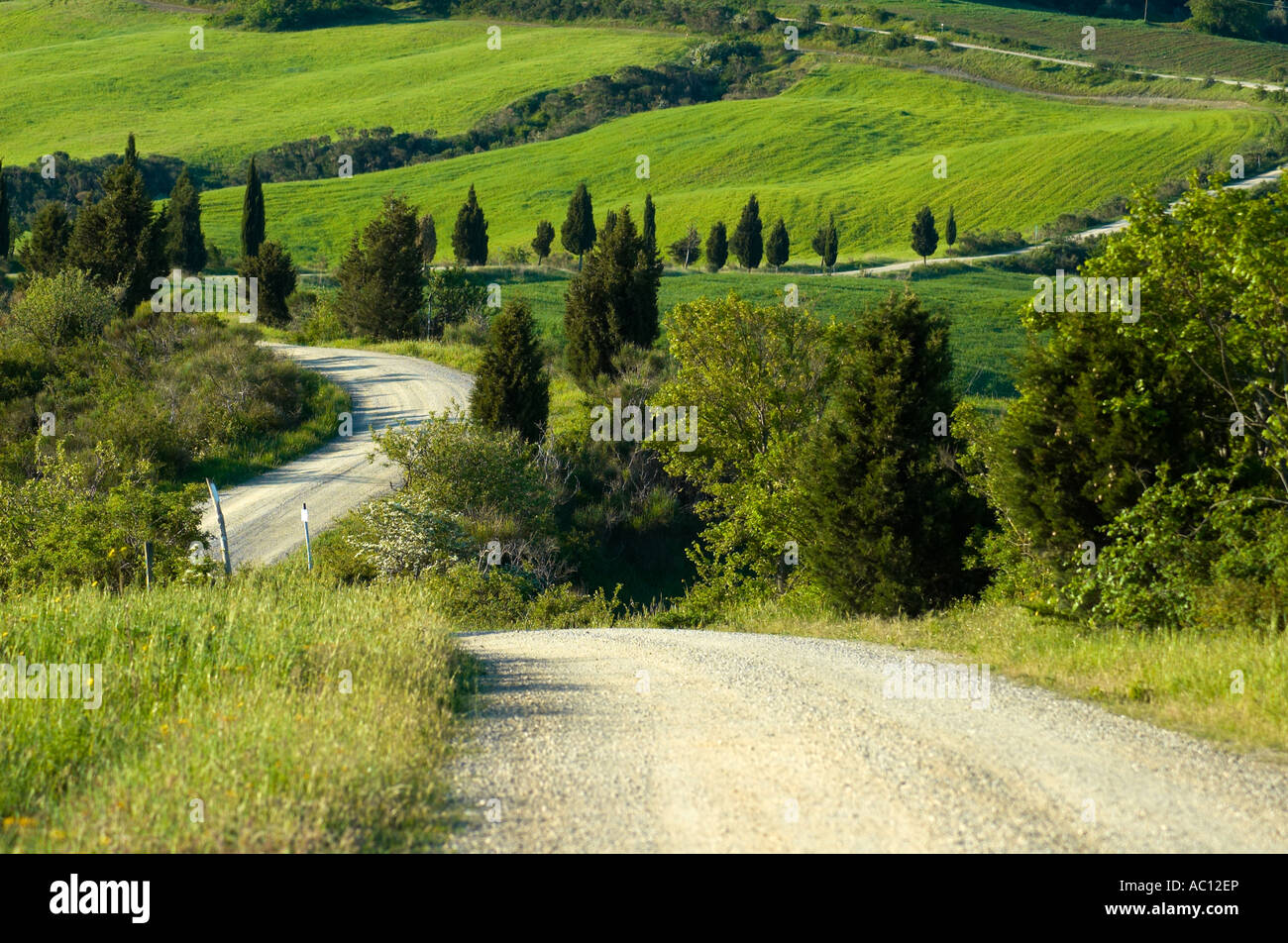 Winding gravel road in Tuscany region of Italy Stock Photo - Alamy