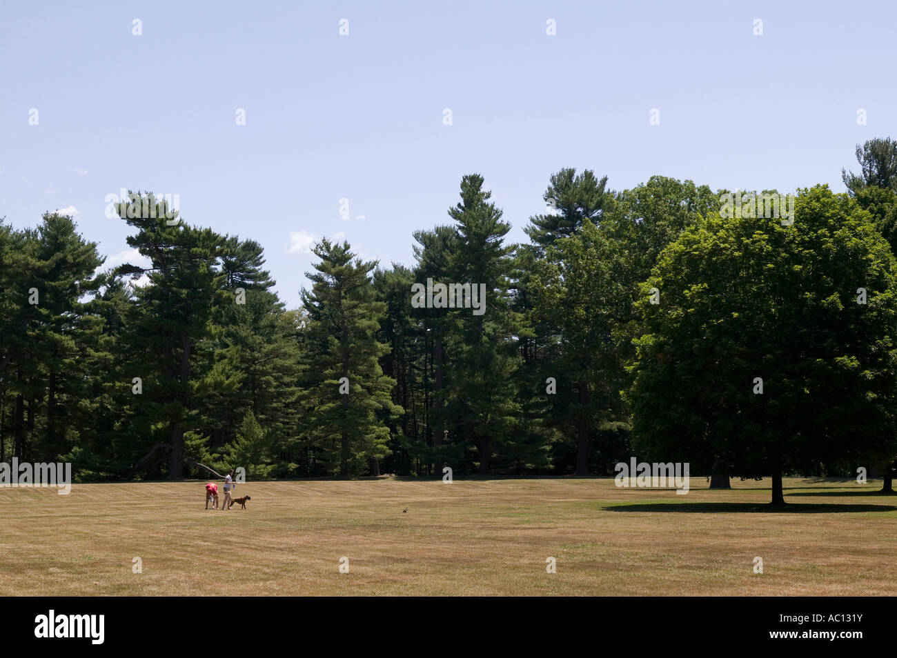 A couple with their dog on the lawn of the Vanderbilt Mansion in Hyde Park New York Stock Photo