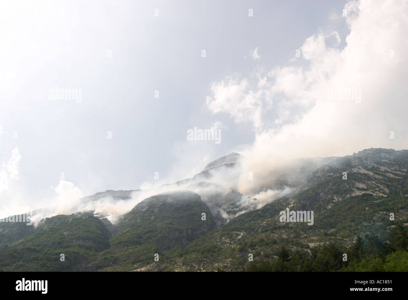 Forest fire in the Julian Alps Slovenia Stock Photo