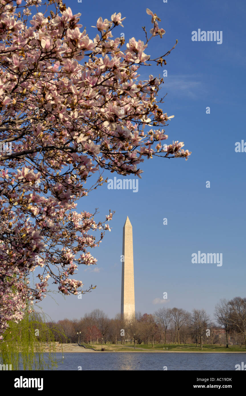 George washington cherry hi-res stock photography and images - Alamy