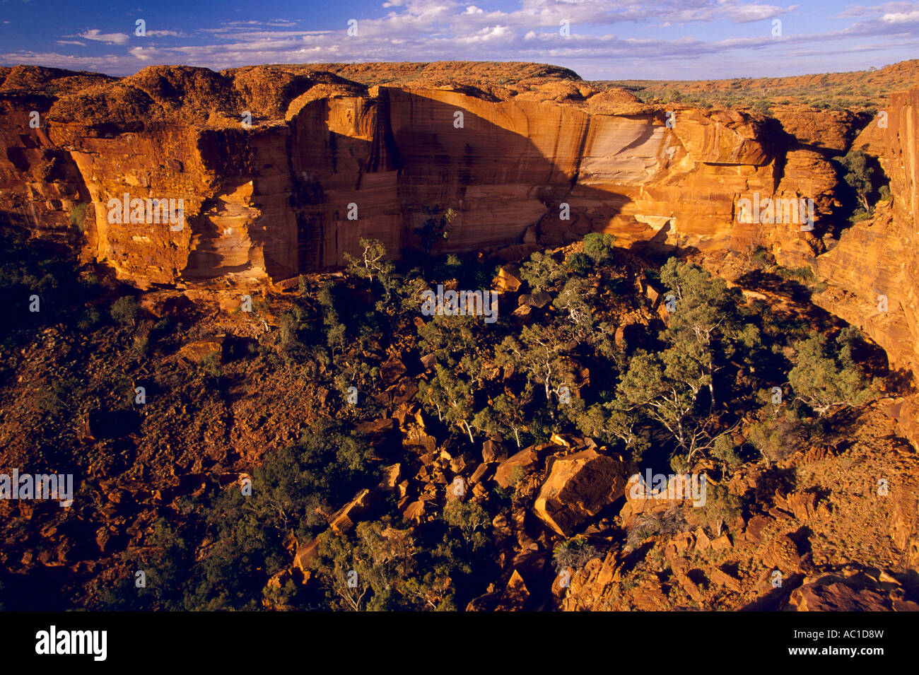 Sheer sandstone cliffs at head of canyon, Watarrka (Kings Canyon) National Park, Northern Territory, Australia, horizontal, Stock Photo