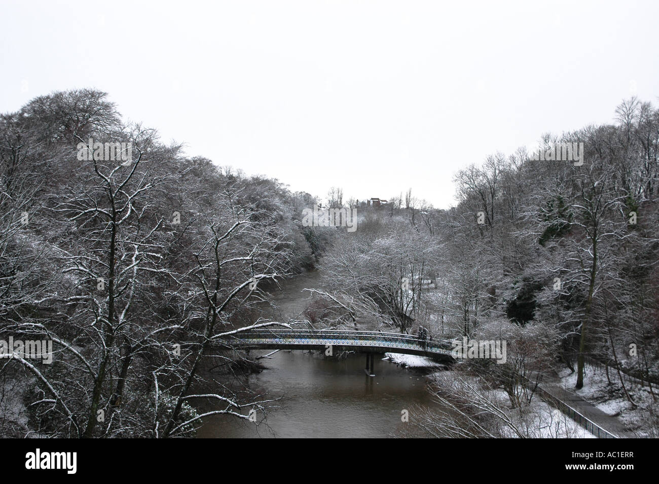 Snow in the Glasgow Botanics Stock Photo