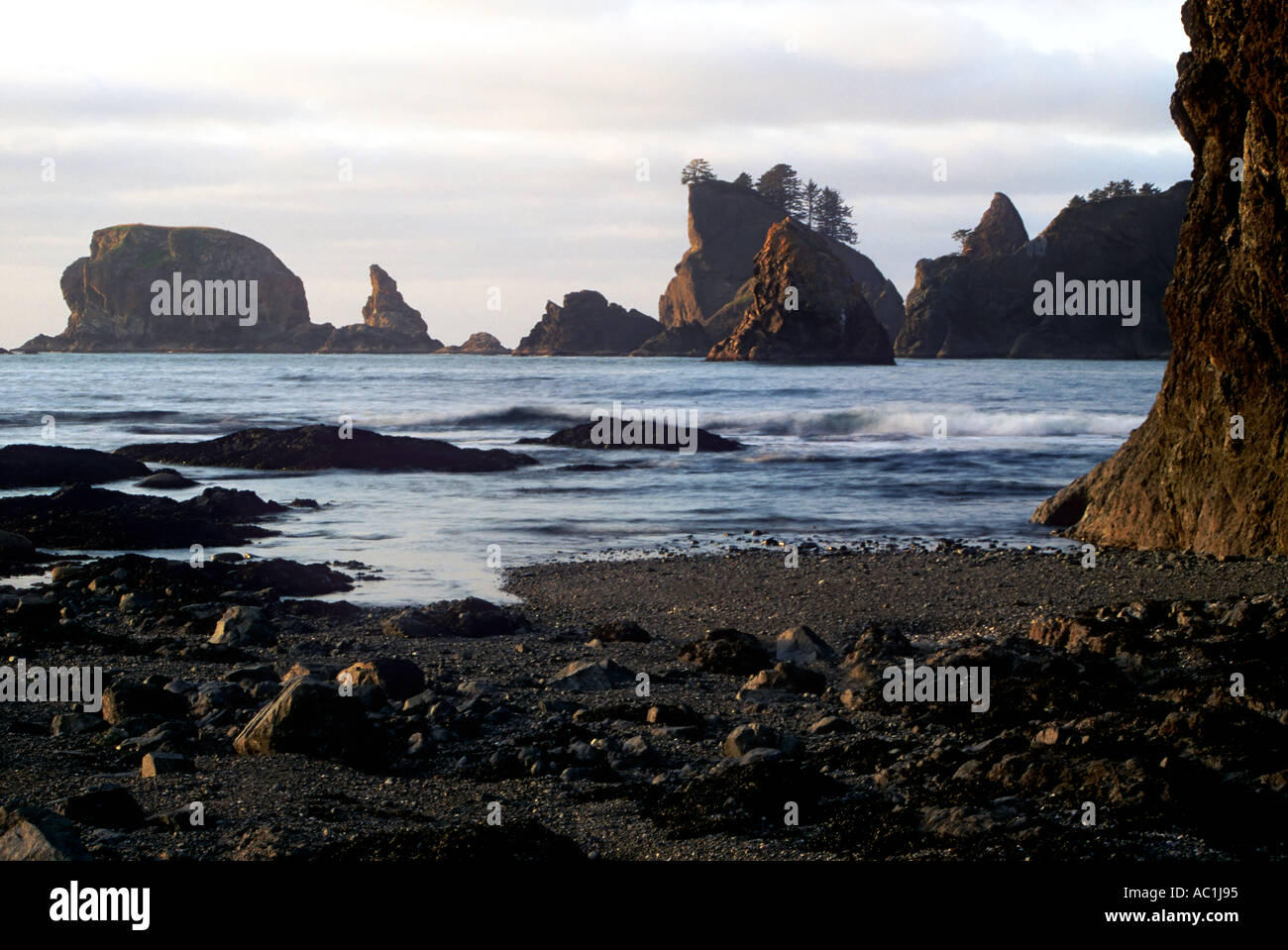 Point of the Arches Olympic National Park Washington USA Stock Photo