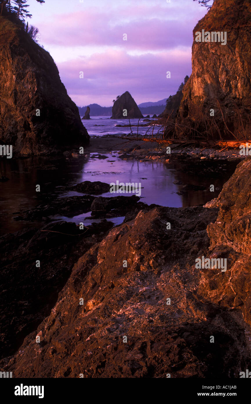Evening light on the rocks at Point of the Arches in Olympic National Park Washington USA Stock Photo