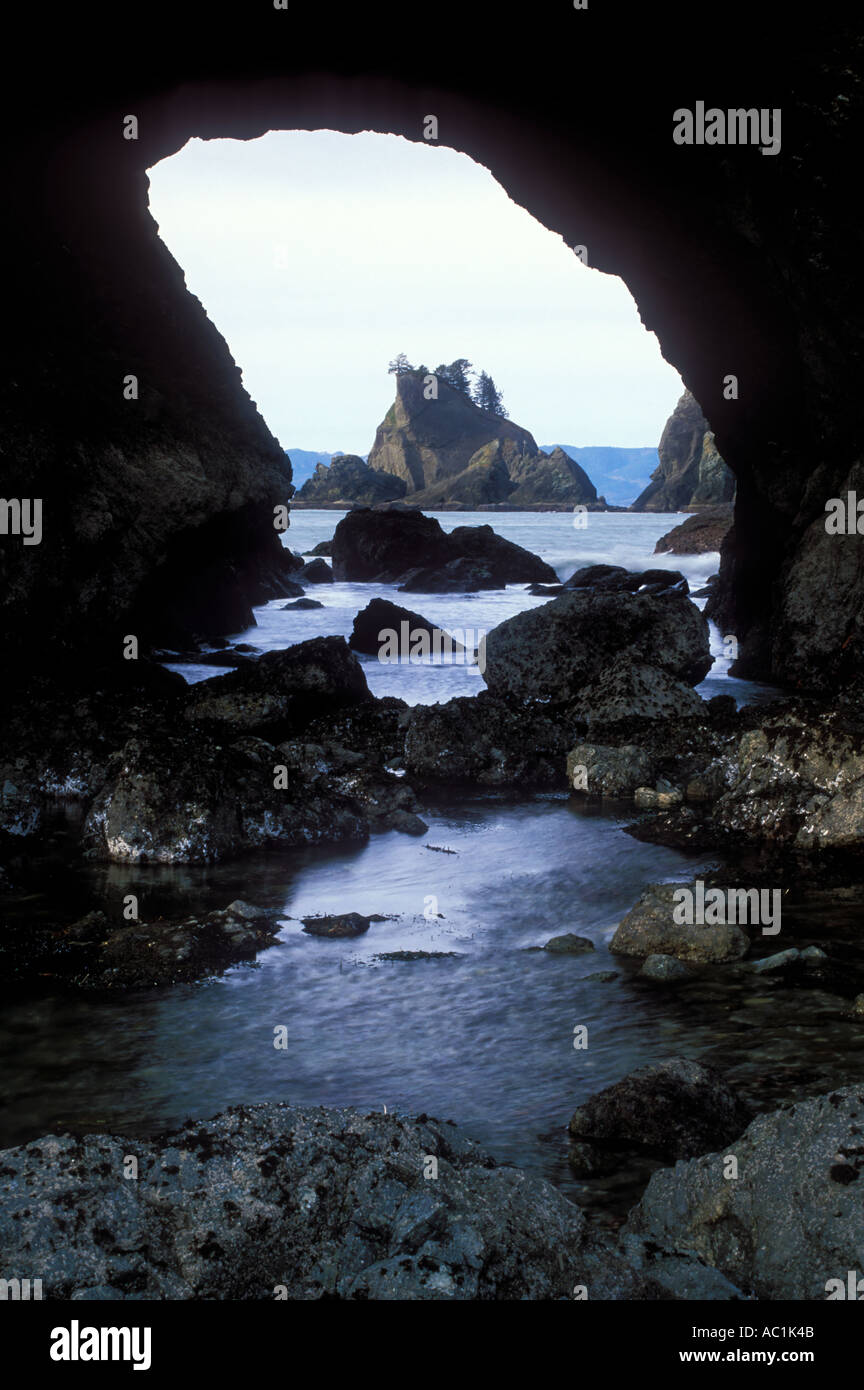 An arch frames a view out to a distant sea stack at Point of the Arches Olympic National Park Washington USA Stock Photo