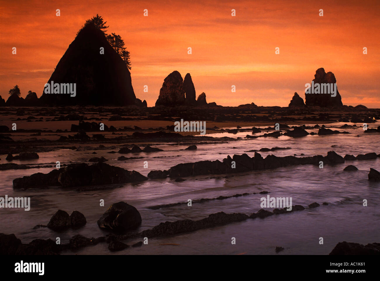 Evening skies over Point of the Arches Olympic National Park Washington USA Stock Photo