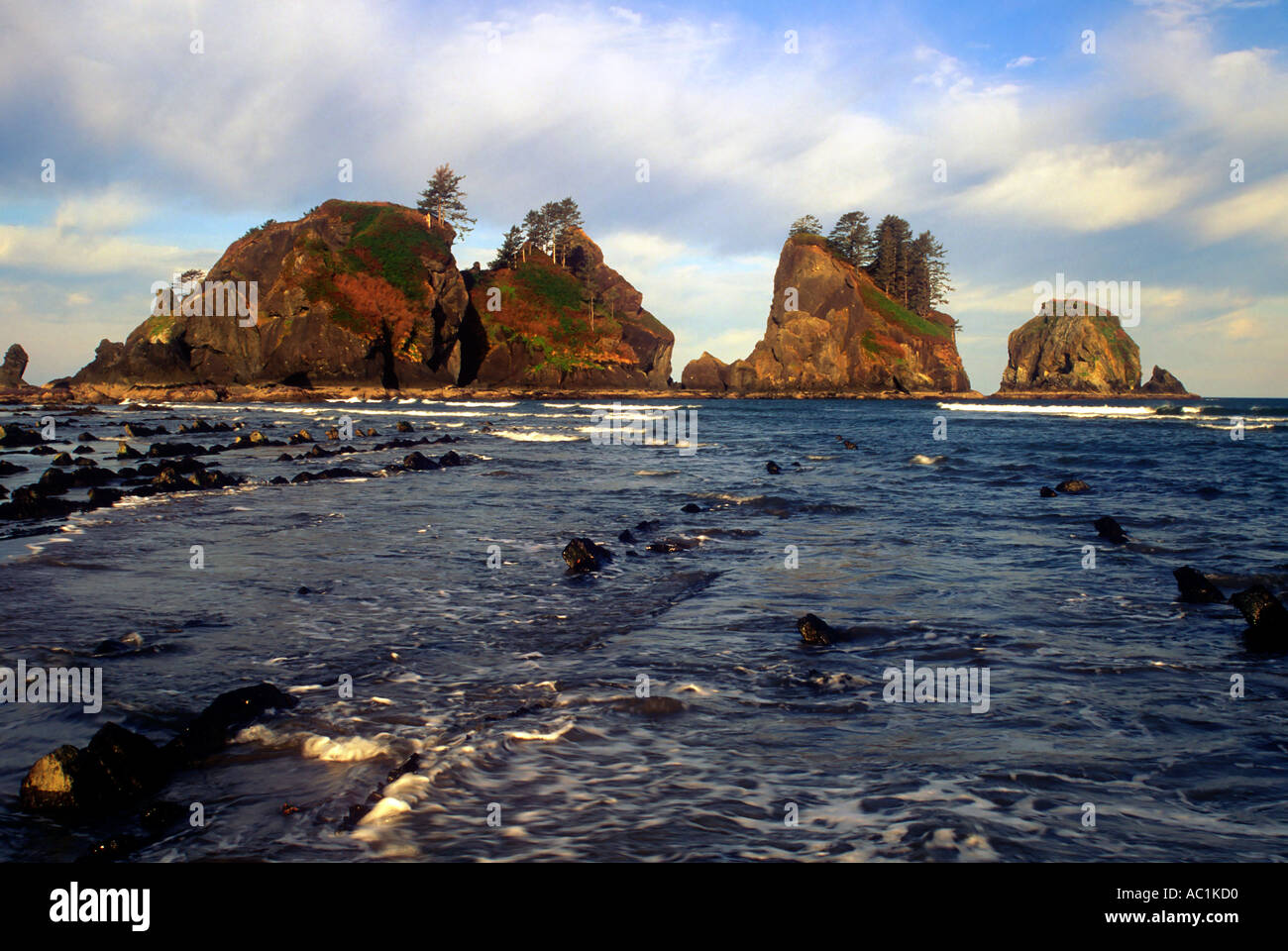Point of the Arches Olympic National Park Washington USA Stock Photo