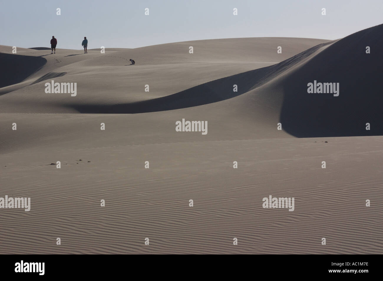 Oceano Sand Dunes Stock Photo Alamy