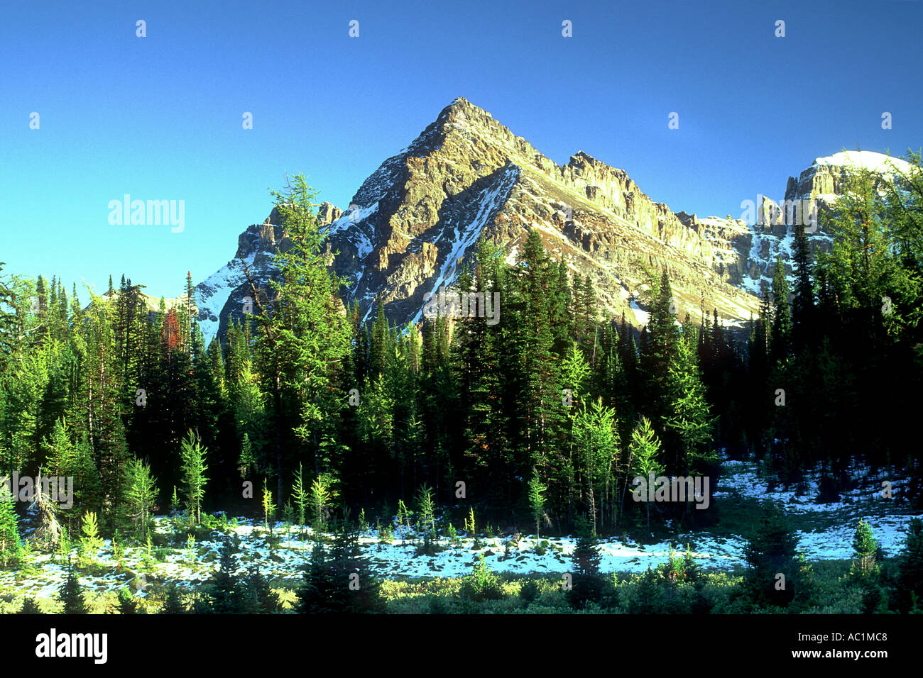 Naiset Point after a fall snow dusting Mount Assiniboine Provincial Park British Columbia Canada Stock Photo