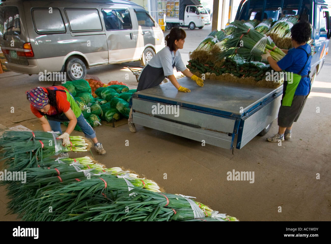 Truckload of Vegetables Co op Produce Consolidator Jecheon Chungcheongbuk Do Province South Korea Stock Photo