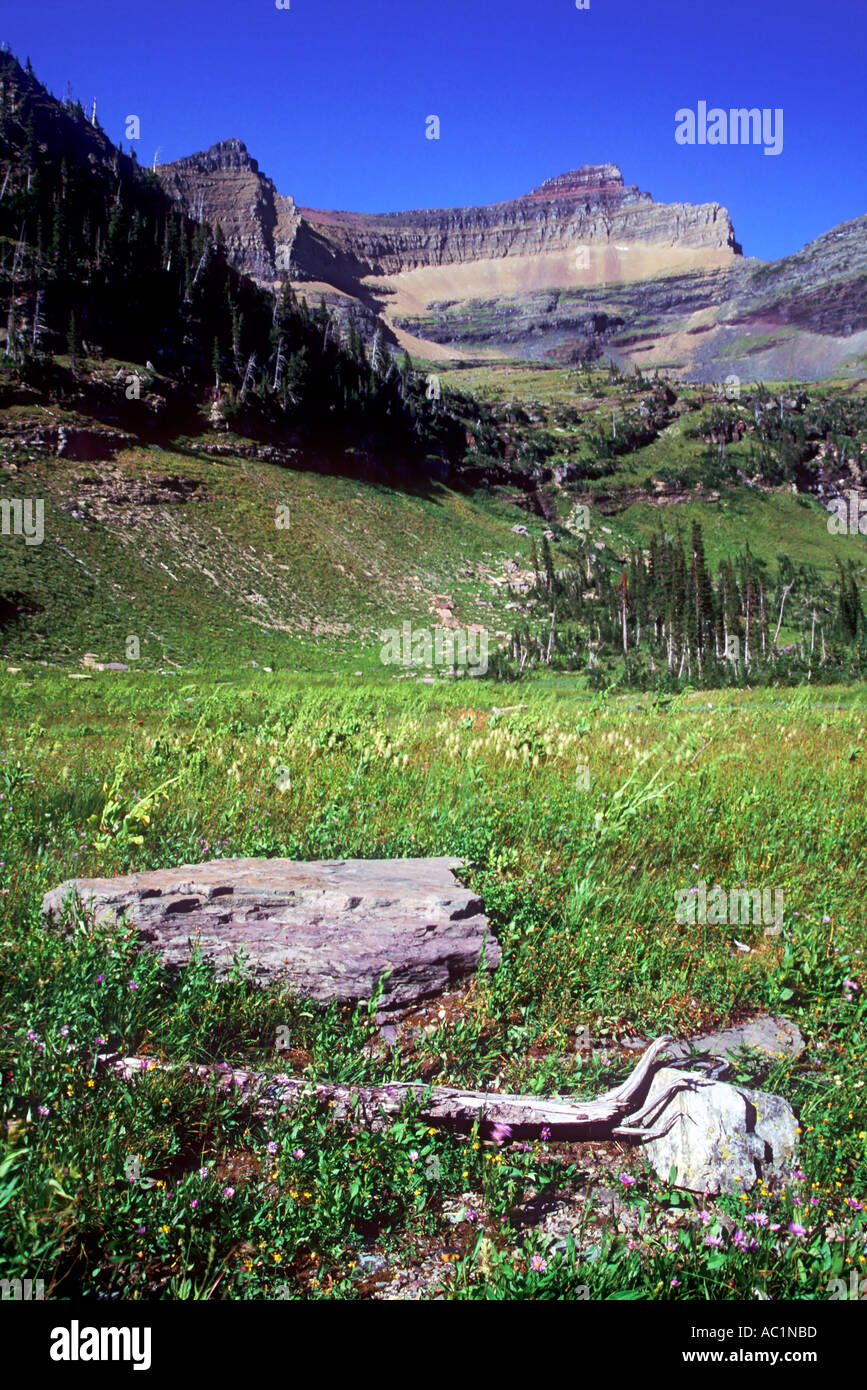 Mount Custer above the meadows of Hole in the Wall Glacier National ...