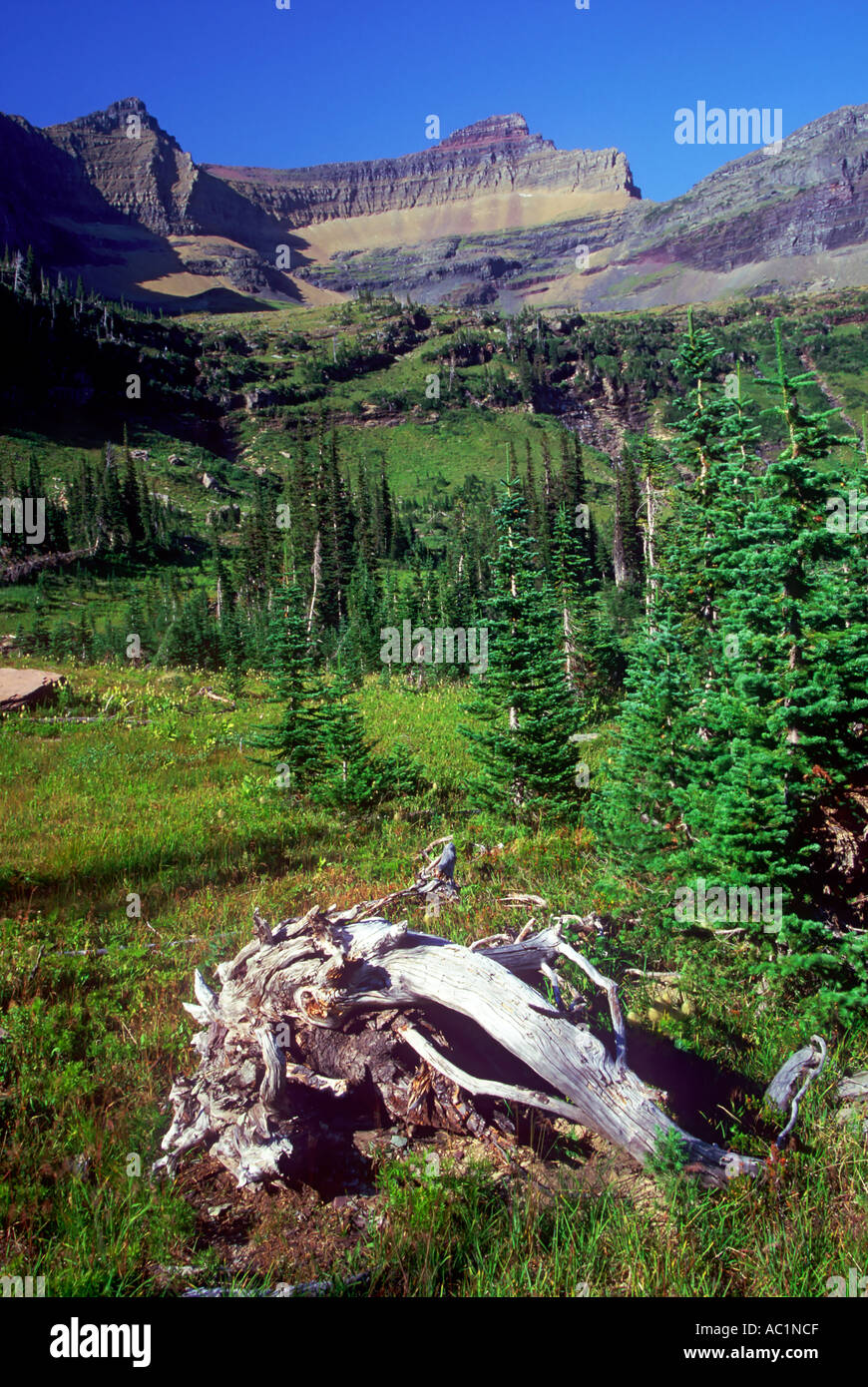 Mount Custer above the meadows of Hole in the Wall Glacier National ...